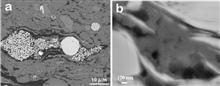 Backscatter SEM Image of Shale and Closeup of Nanopores in Shale